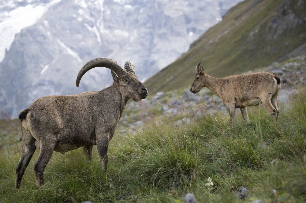 Photograph by Константин Кукушкин