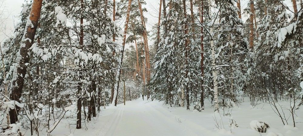 Photograph by Светлана Батурова