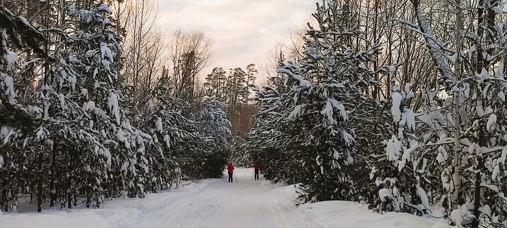 Photograph by Светлана Батурова