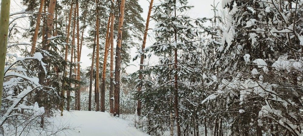 Photograph by Светлана Батурова