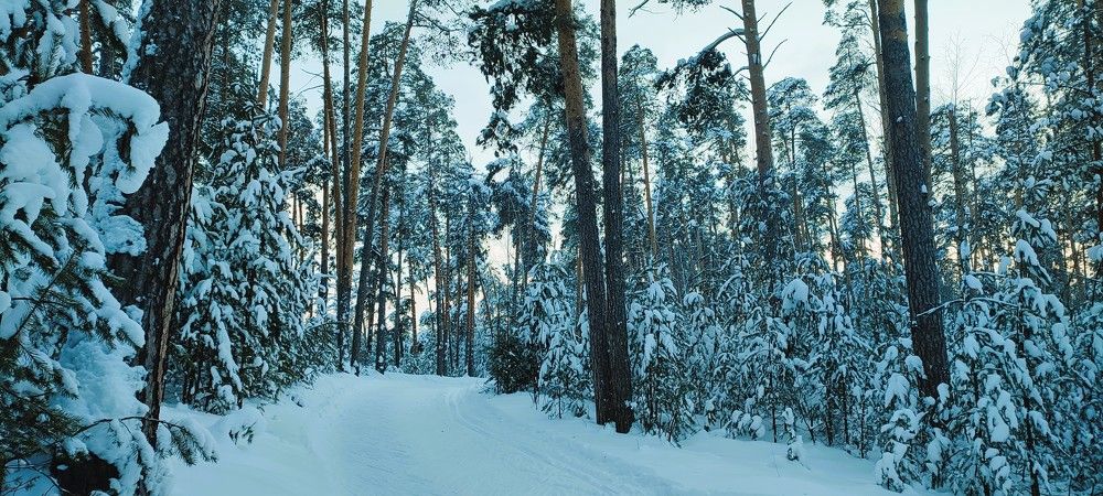 Photograph by Светлана Батурова