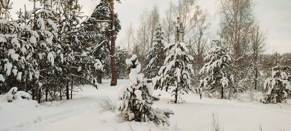 Photograph by Светлана Батурова