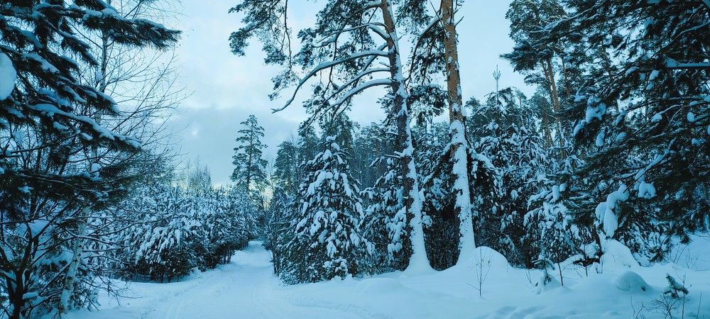 Photograph by Светлана Батурова