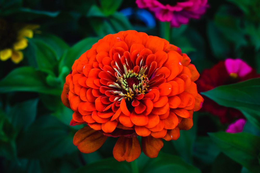 Photograph by Любовь Замятина