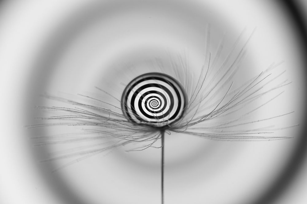 Photograph by Руфат Лажанский