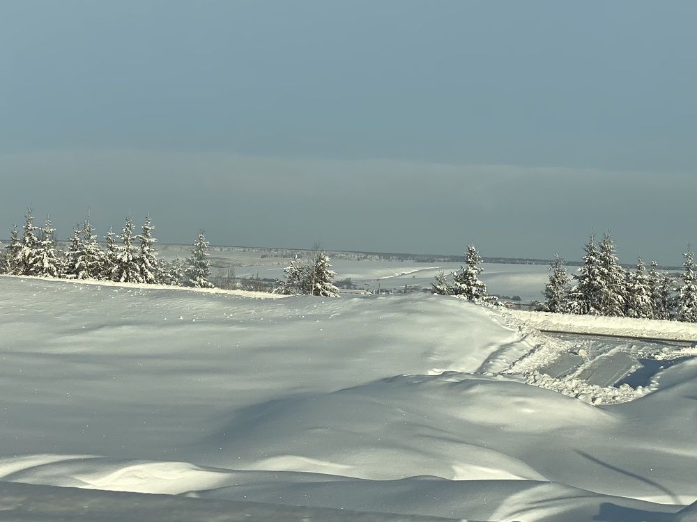 Фотография автора ГУЗАЛИЯ ГАНИЕВА