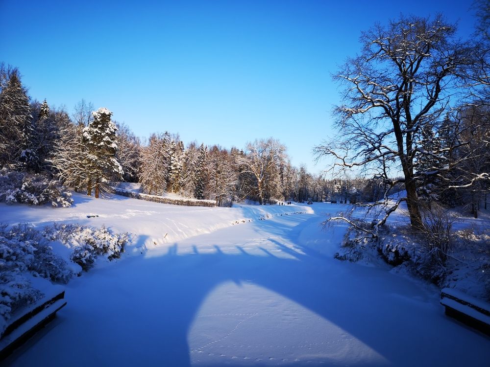 Photograph by Liubov Tarasova