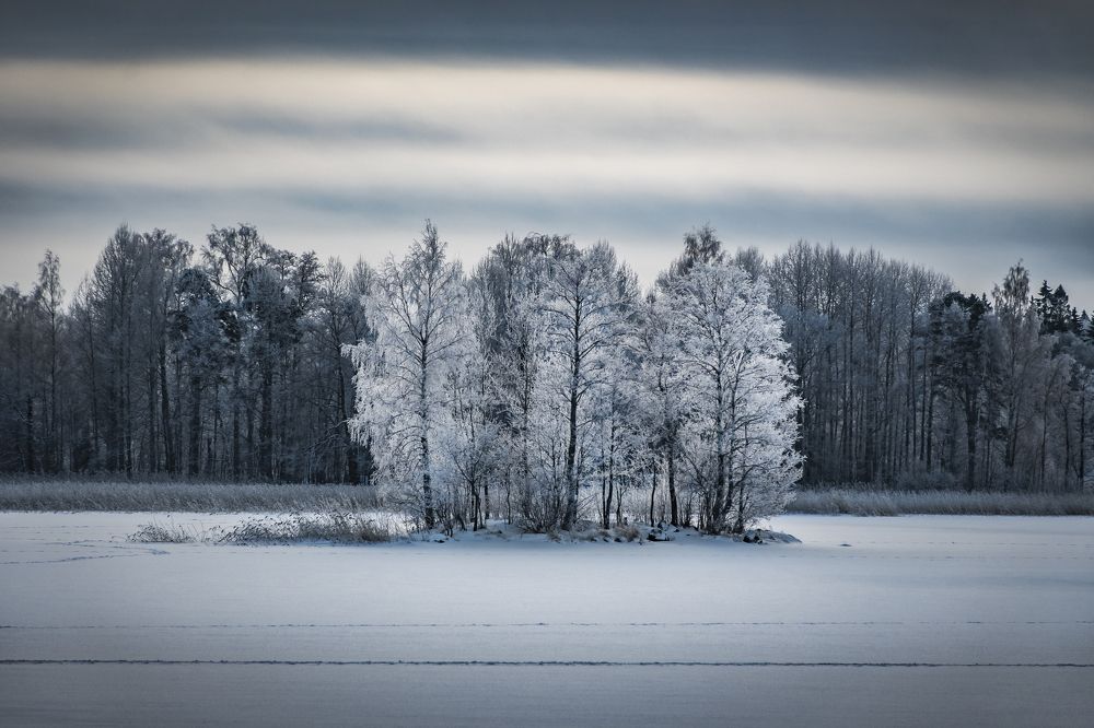Photograph by Максим Сорокин
