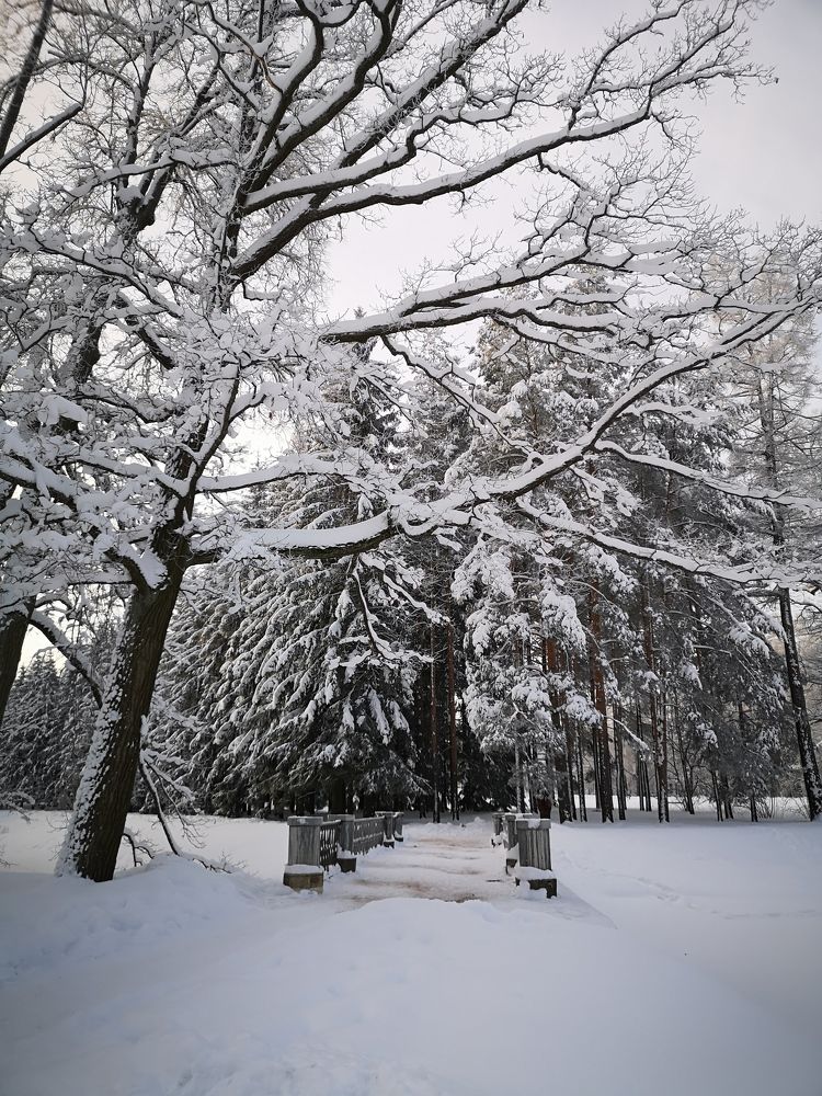 Photograph by Liubov Tarasova