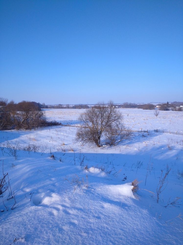 Photograph by Елена Коробченко