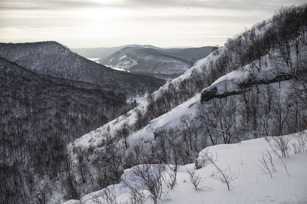 Фотография автора Веста Ягужинская