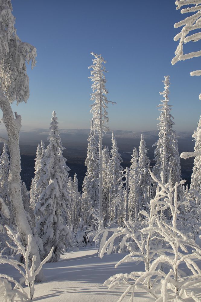 Photograph by Веста Ягужинская