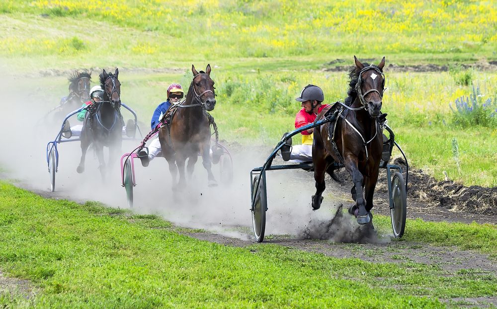 На деревенском ипподроме