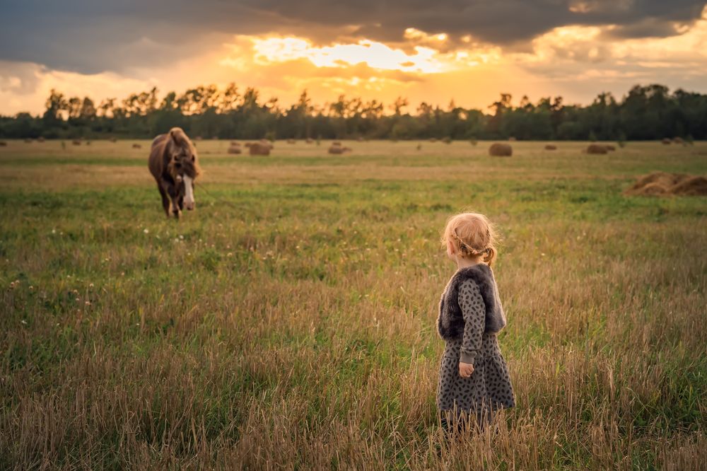 Photograph by Елена Лидмец