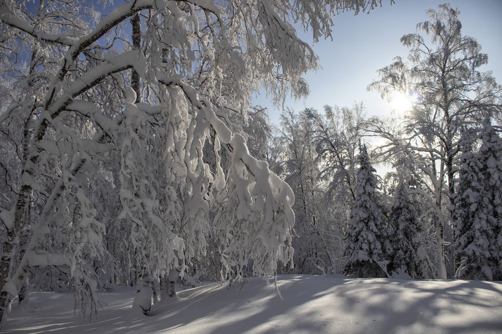 Фотография автора Веста Ягужинская