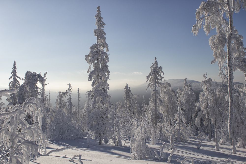 Фотография автора Веста Ягужинская