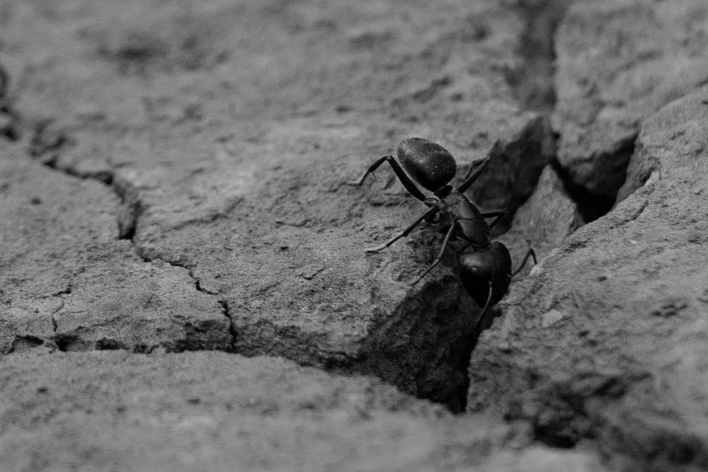 Photograph by Анжелика Сороколетова