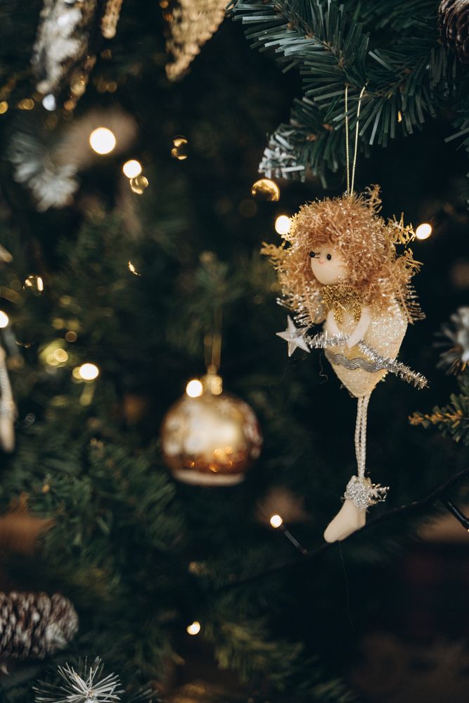 Фотография автора Дарья Дреко