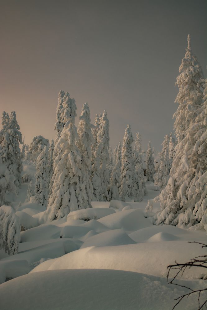 Photograph by Антон Глухов