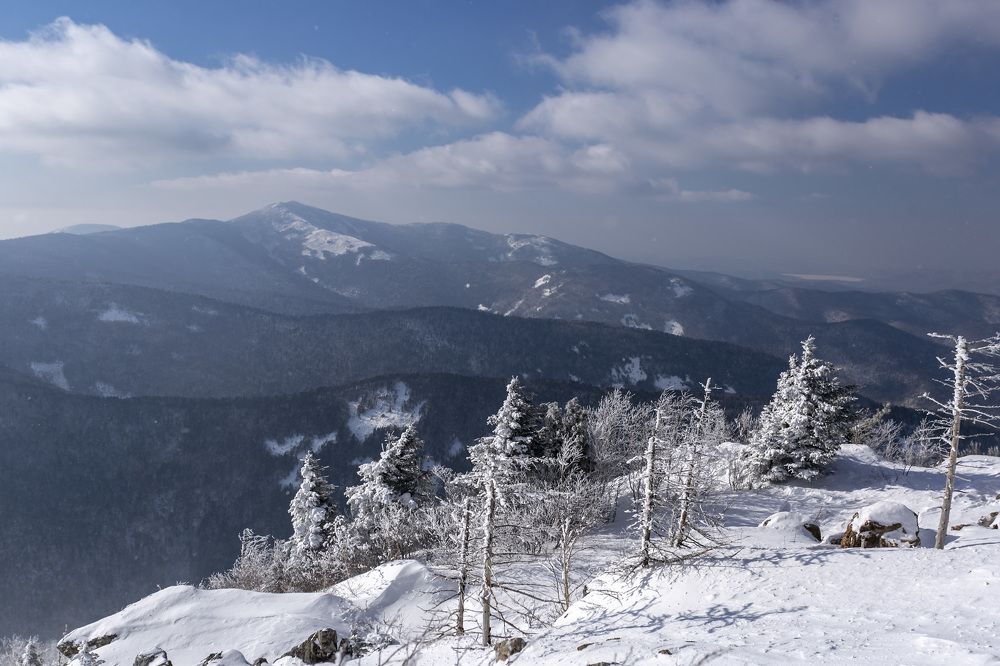 Photograph by ALEKSANDR KUZNETSOV