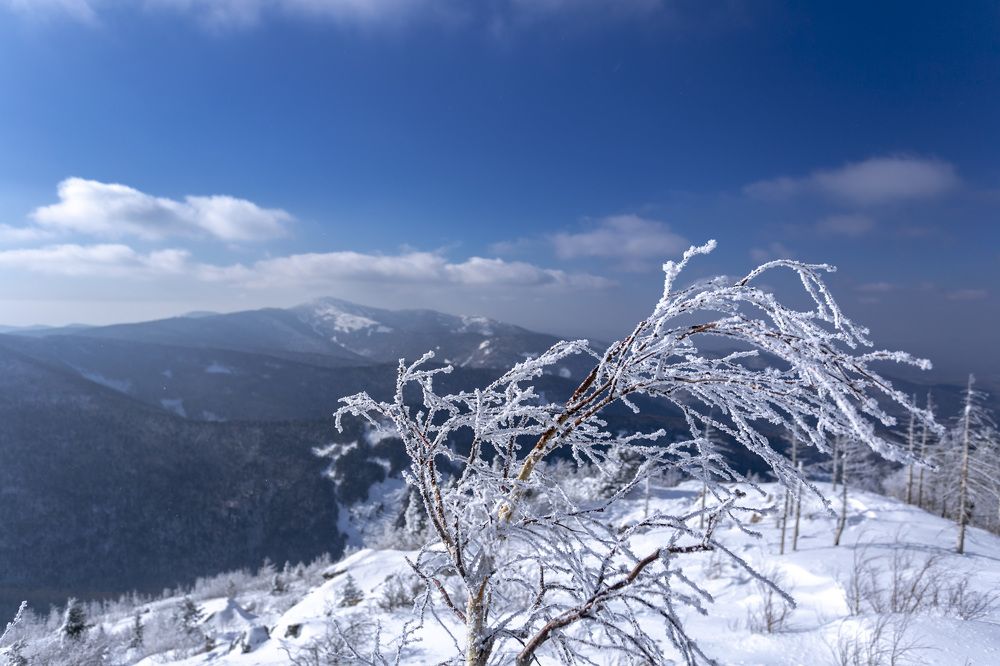 Photograph by ALEKSANDR KUZNETSOV