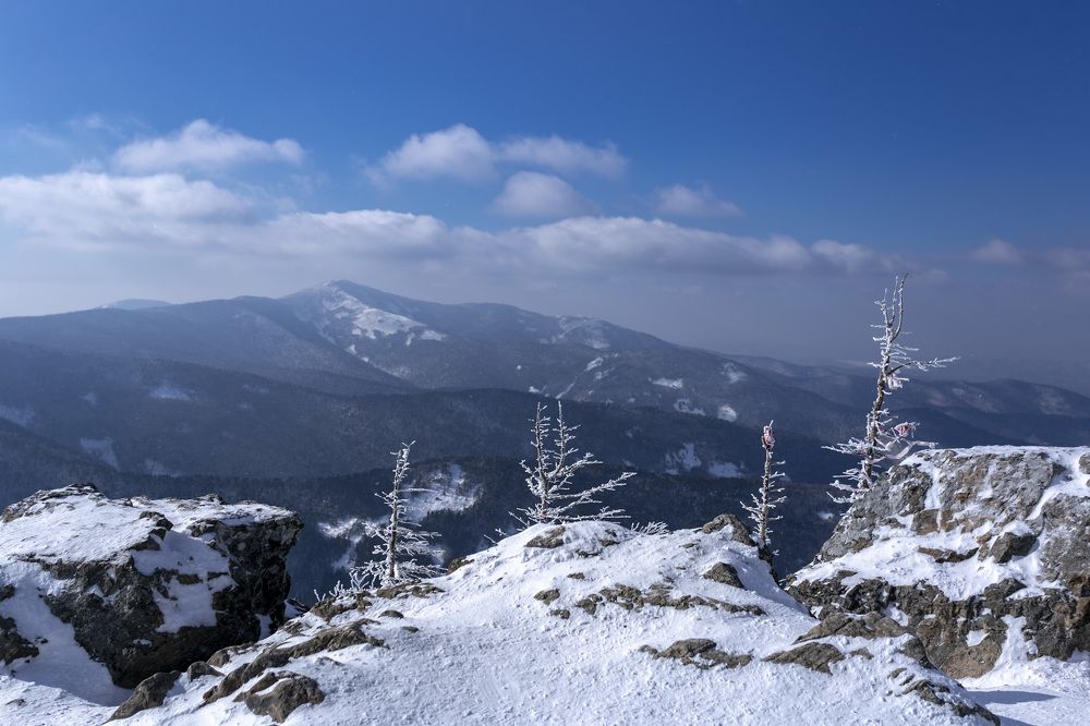 Photograph by ALEKSANDR KUZNETSOV