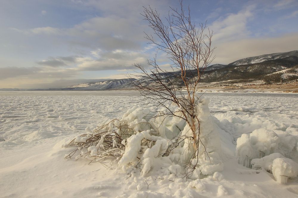 Фотография автора Наталья Фаттахова