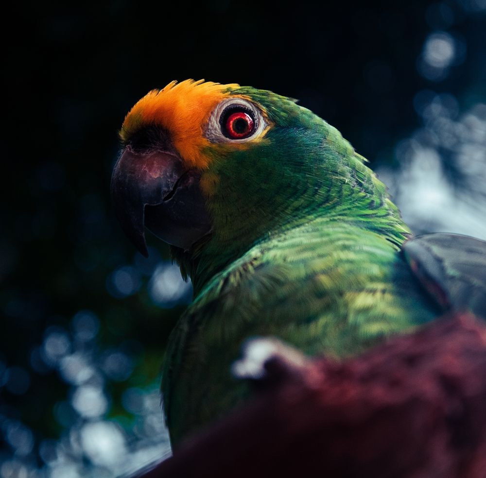 Photograph by dalesandro valero