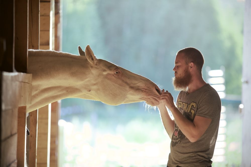 Photograph by Анна Позолотчикова