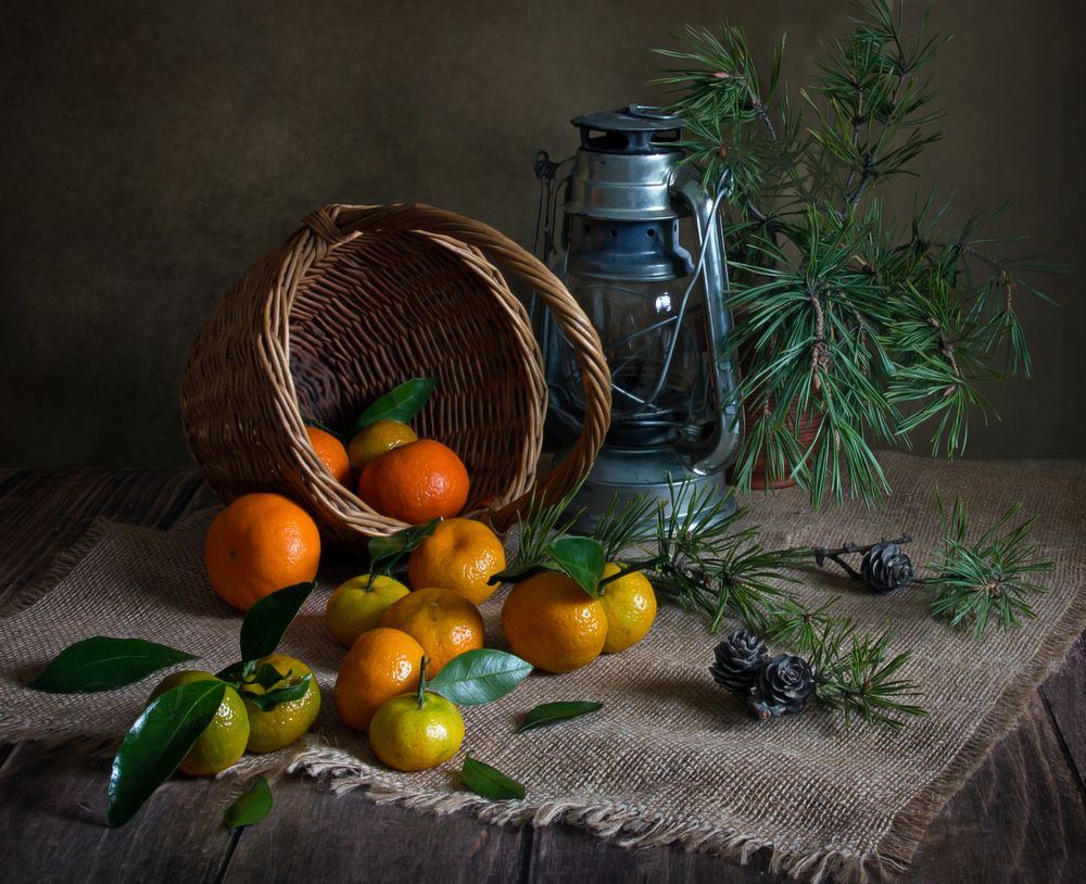 Photograph by Вера Лопатина