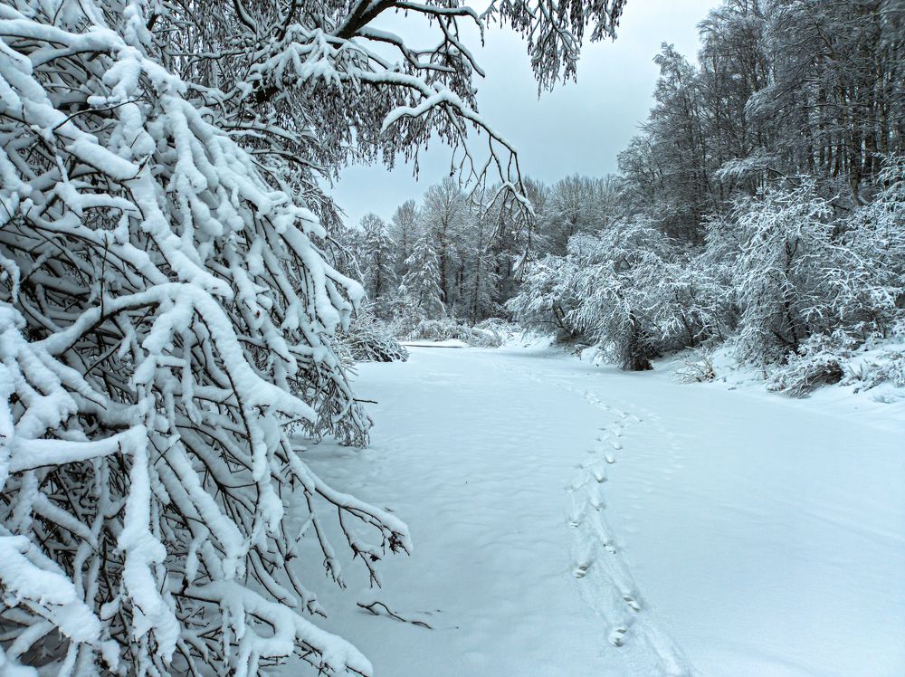 Фотография автора Швайко Михаил