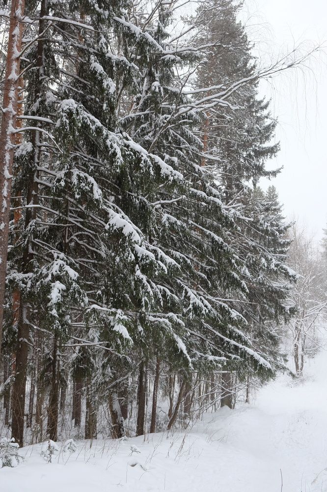 Photograph by Екатерина Хозяшева