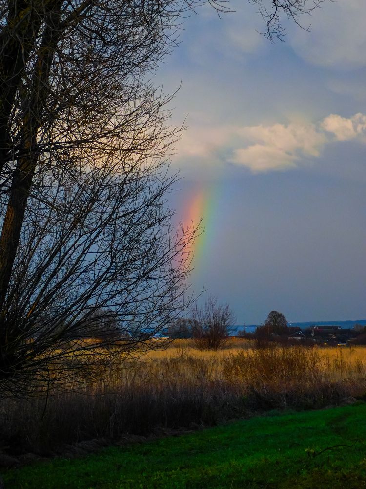 Photograph by Юлия Закопайло