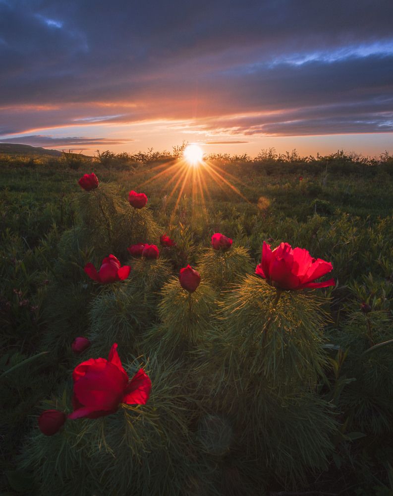 Photograph by Кахарова Наргиза