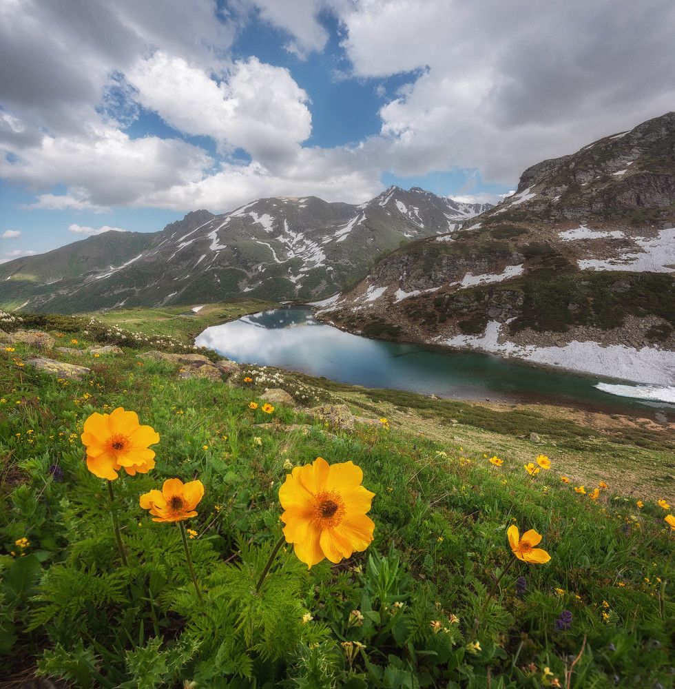 Photograph by Кахарова Наргиза