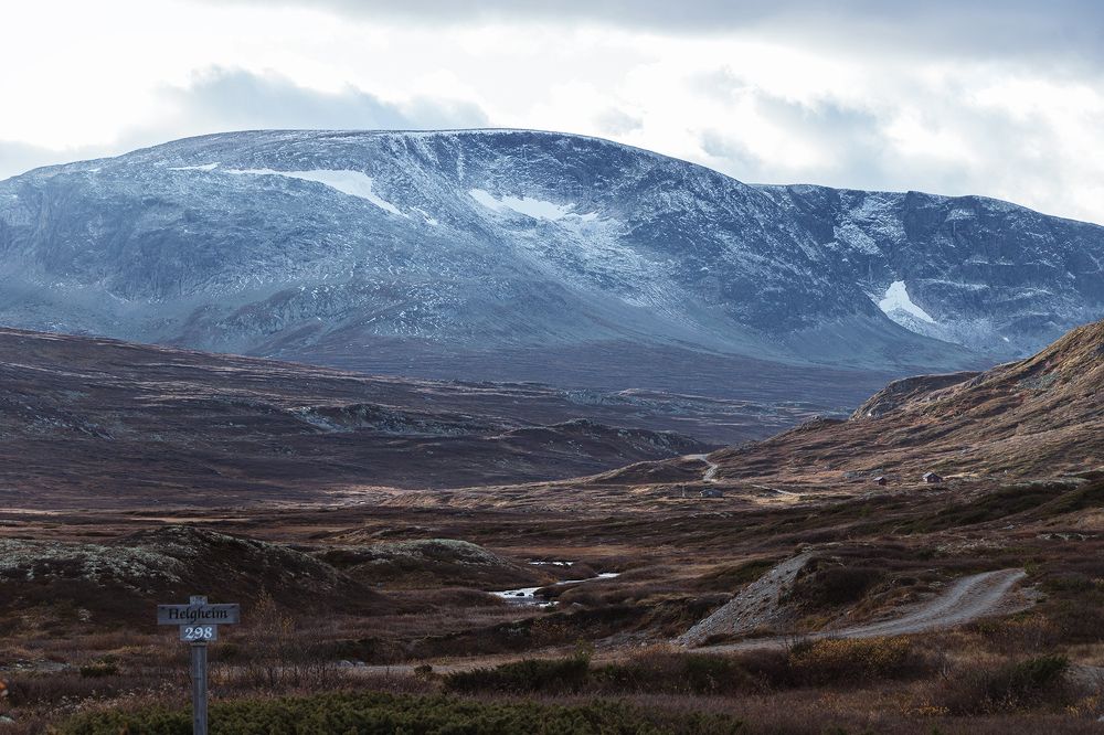 Photograph by Галина Васютенко