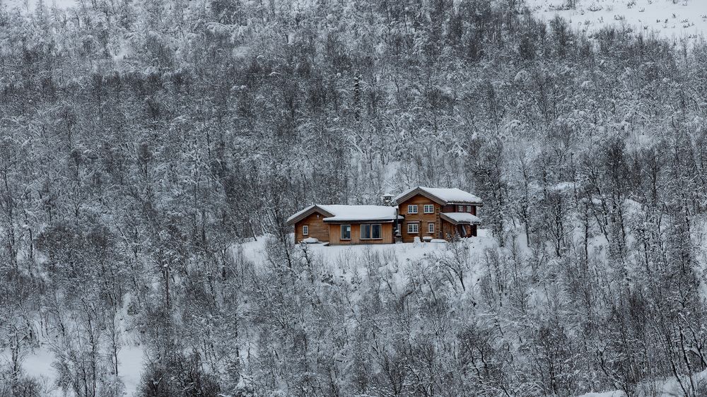 Photograph by Галина Васютенко