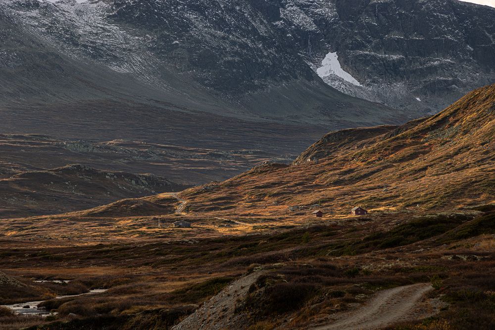 Photograph by Галина Васютенко