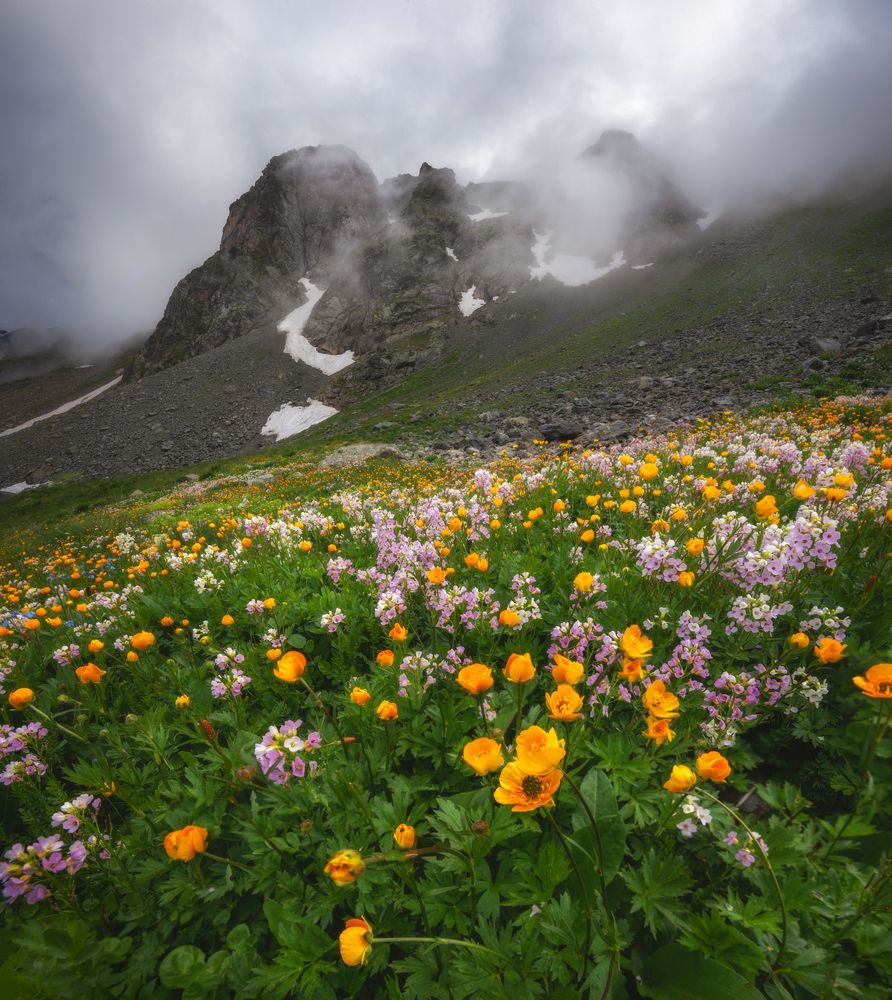 Photograph by Кахарова Наргиза