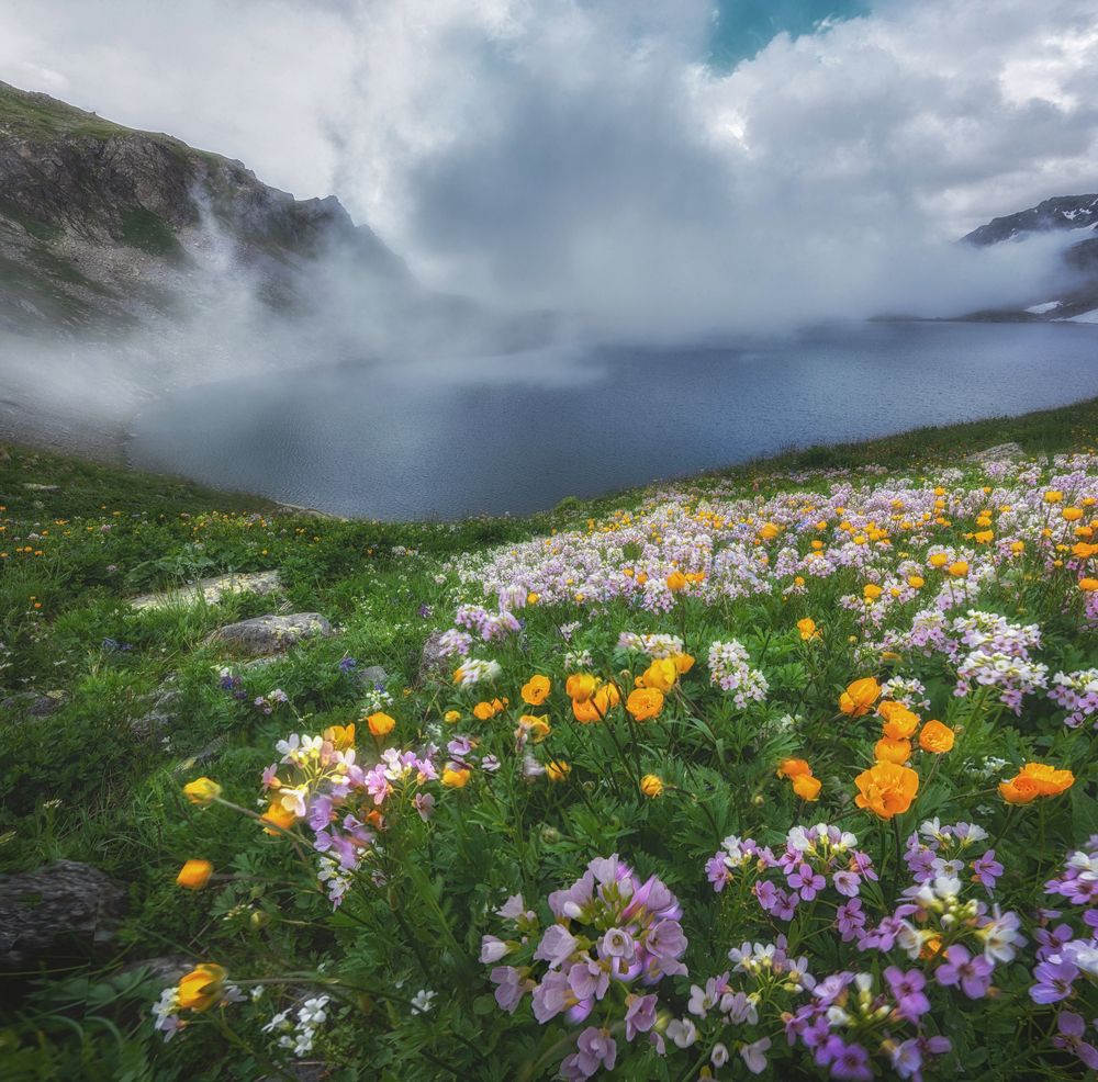 Photograph by Кахарова Наргиза