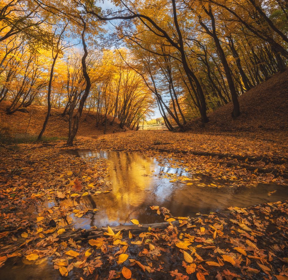 Photograph by Кахарова Наргиза