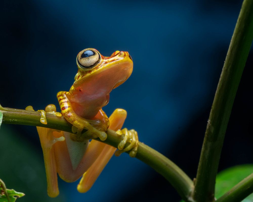 Photograph by Mateo García Mejía