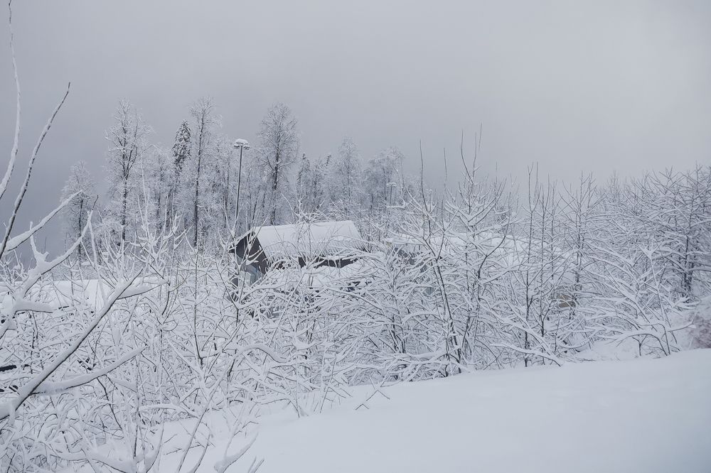 Photograph by Наталья Гришаева