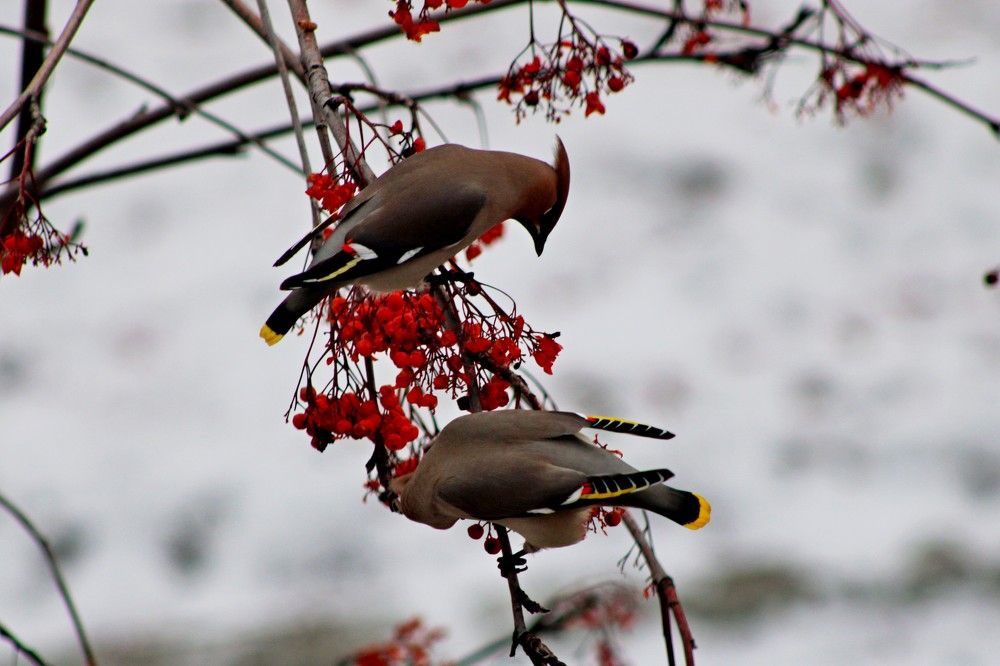 Photograph by Дмитрий Симагин