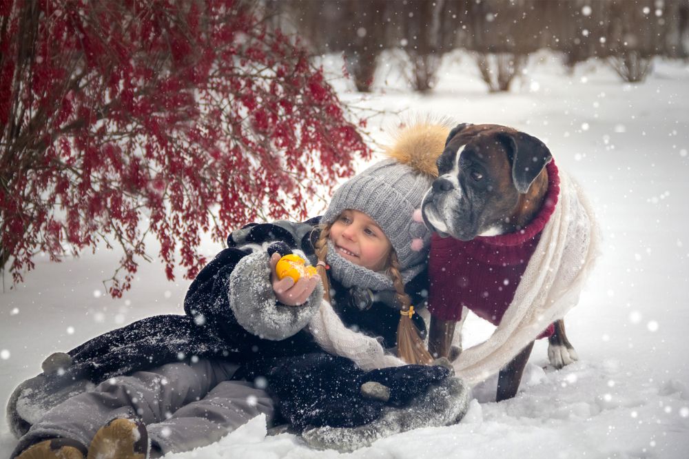 Photograph by Петракова Ольга