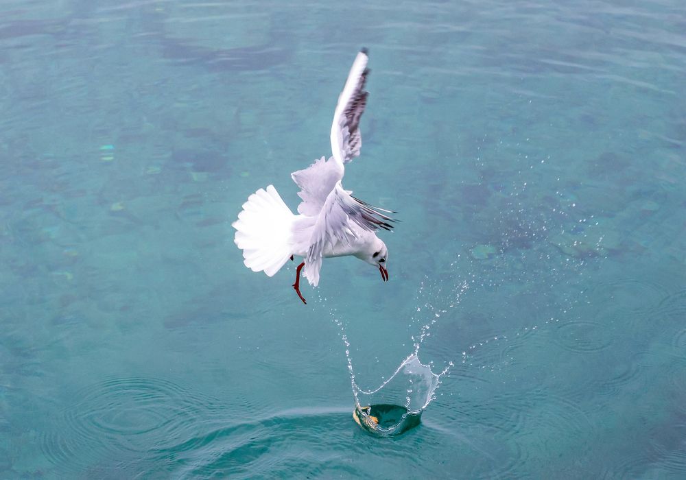 Photograph by Eva Wiedemann