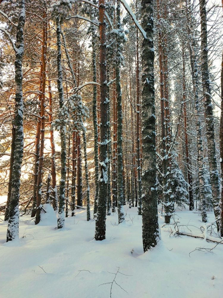 Photograph by Татьяна Емельянова