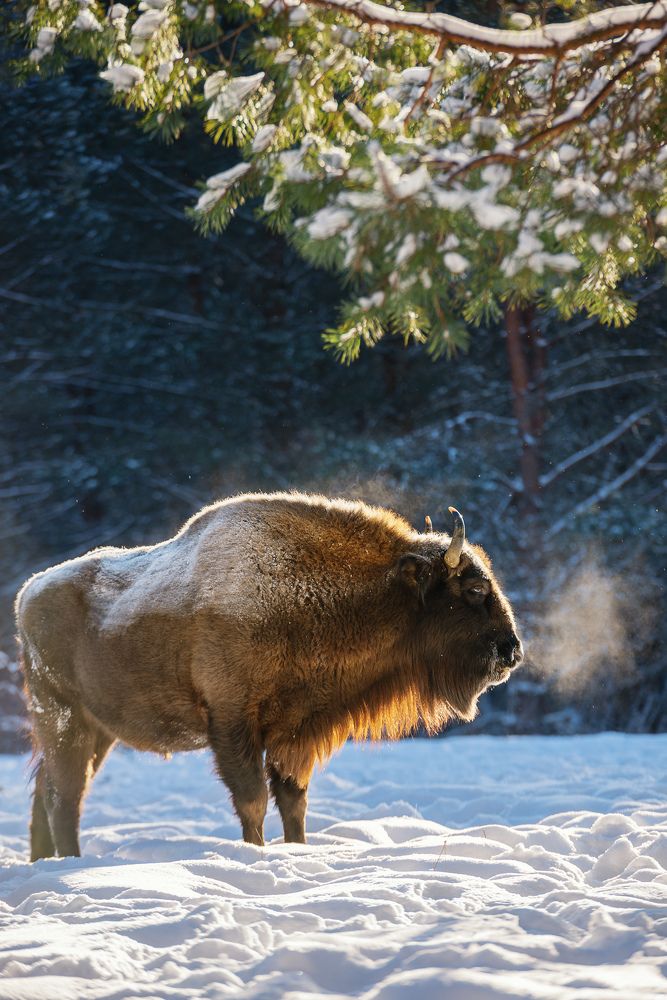 Photograph by Елена Низовцева