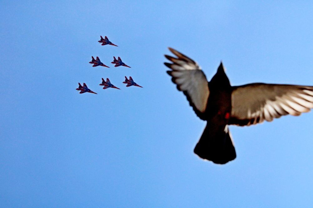 Photograph by Дмитрий Симагин