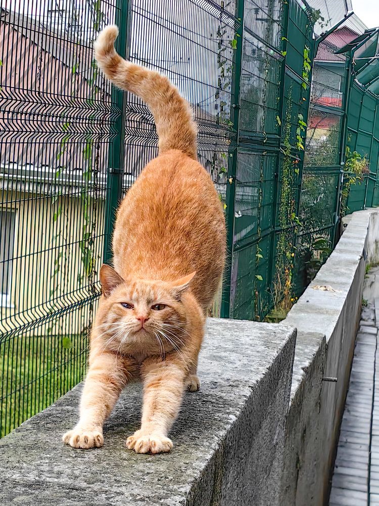 Photograph by Евгений Симион